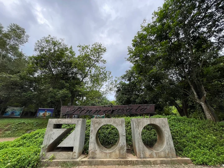 Zoo 2